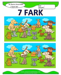 İki Resim Arasındaki Farkı Bul Etkinliği
